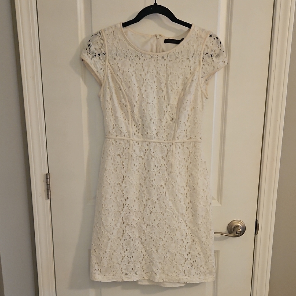 The Limited Cream Lace Mini Dress
